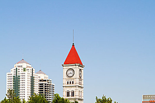 soi cau lo bach thu mien phi
