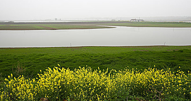 thống kê xsmb hom nay