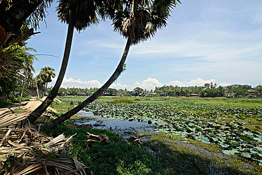 bach thu khung 3 ngay chinh xac