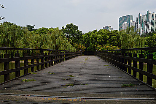 cầu lô miền nam