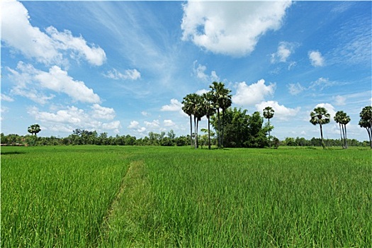 cách đoán lô đề