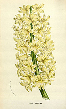 xổ số long an hôm nay