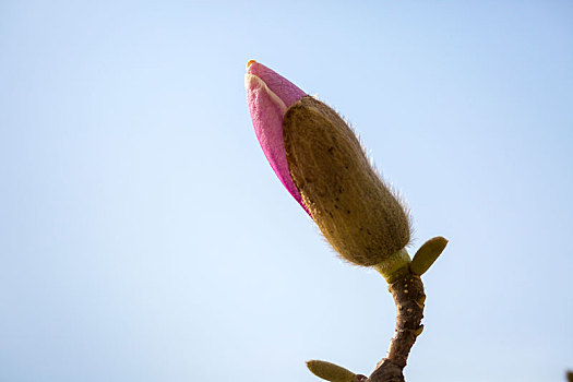 soi cầu lô miền nam