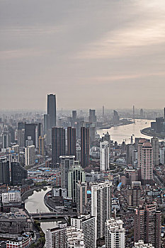 soi bạch thủ lô