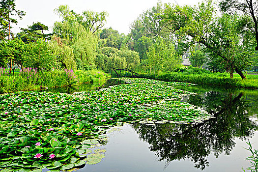 quả xổ số