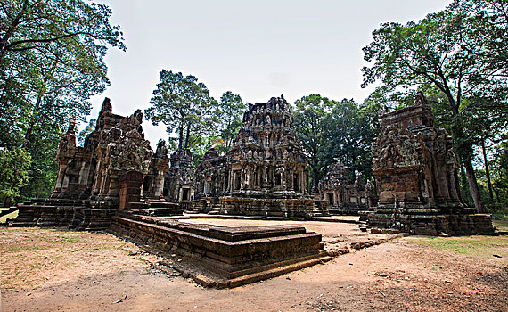 rong bạch kim