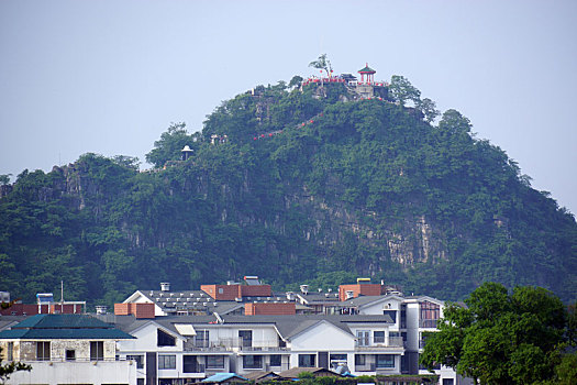 soi cau lo de chuan mien phi