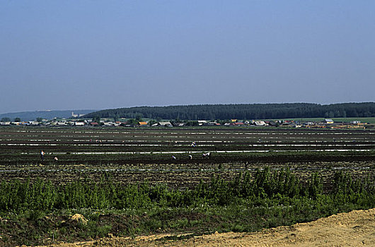 soi cầu 3 càng